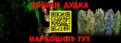 мдпв Новодвинск